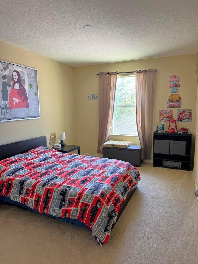 7618 Tangle Rush Dr, Gibsonton, FL 33534 - carpeted bedroom featuring a textured ceiling