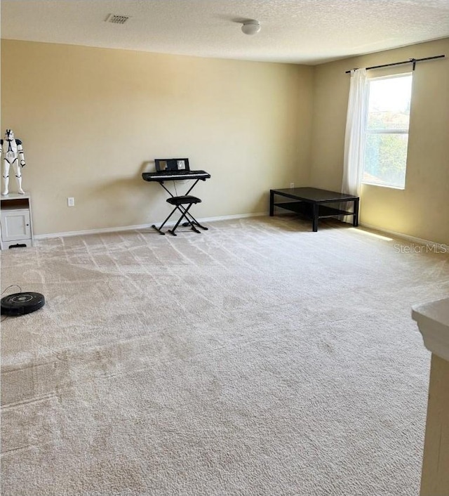 7618 Tangle Rush Dr, Gibsonton, FL 33534 - miscellaneous room featuring carpet and a textured ceiling