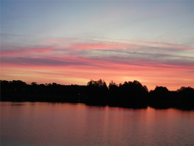 17017 Paula Ln, Lutz, FL 33558 - water view