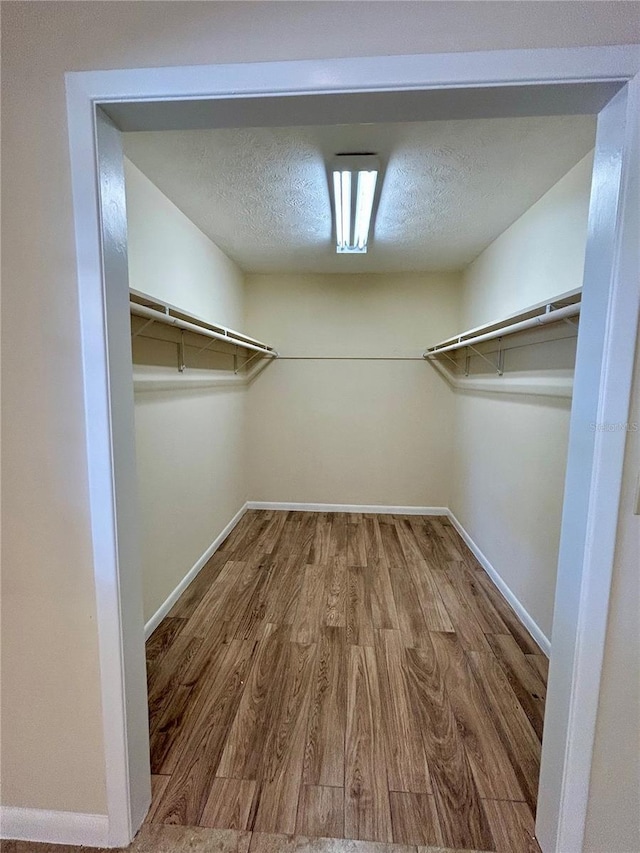 17017 Paula Ln, Lutz, FL 33558 - spacious closet featuring wood finished floors