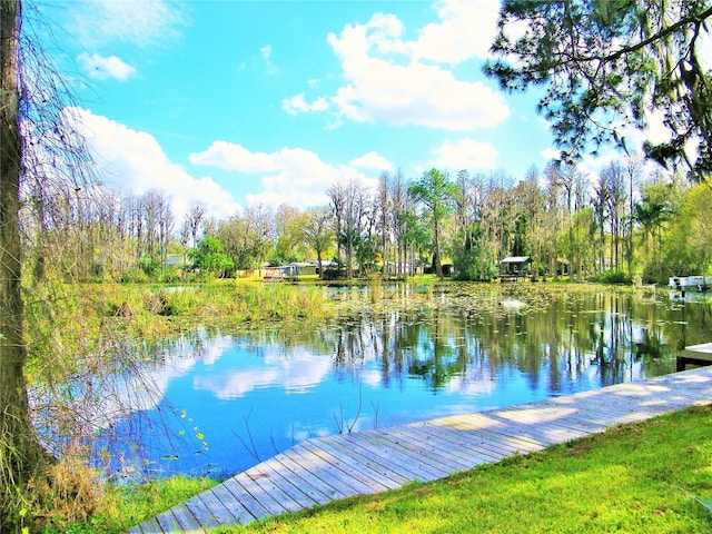 17017 Paula Ln, Lutz, FL 33558 - water view