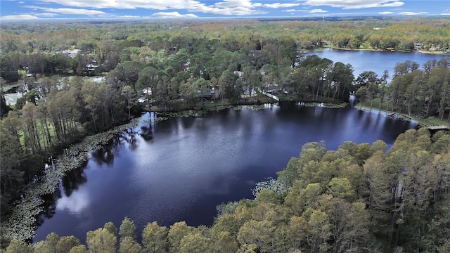 17017 Paula Ln, Lutz, FL 33558 - aerial view of property and surrounding area with a heavily wooded area and a large body of water