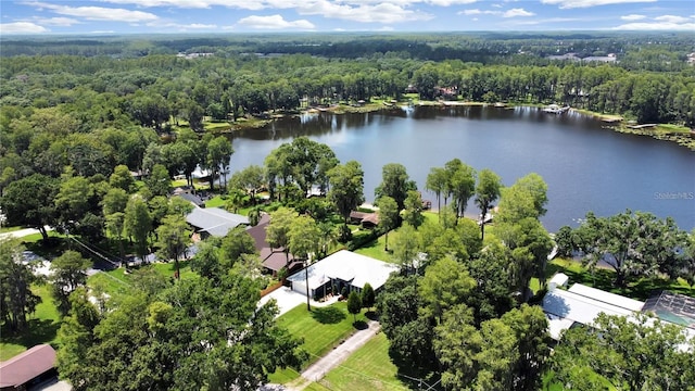 17017 Paula Ln, Lutz, FL 33558 - aerial view of property and surrounding area featuring a forest and a nearby body of water
