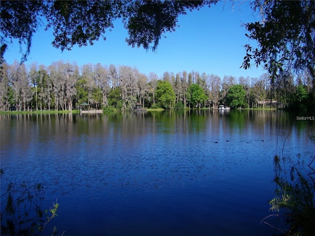 17017 Paula Ln, Lutz, FL 33558 - water view featuring a heavily wooded area