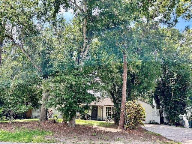 17017 Paula Ln, Lutz, FL 33558 - view of obstructed view of property
