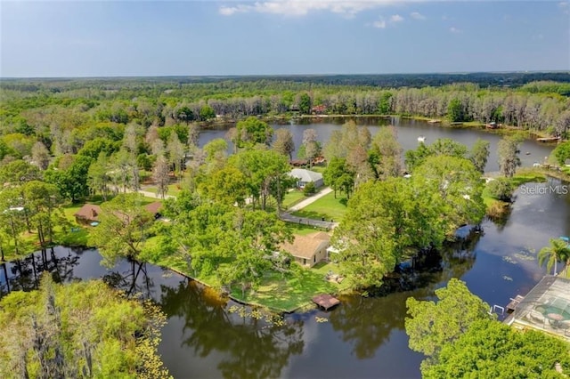 17017 Paula Ln, Lutz, FL 33558 - aerial view of property and surrounding area featuring a heavily wooded area and a nearby body of water