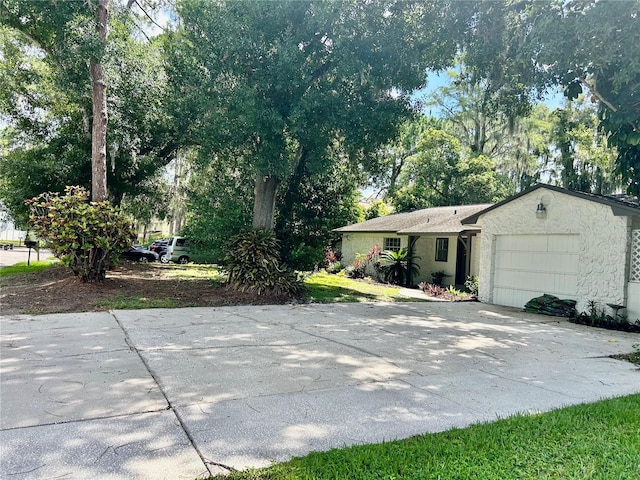 17017 Paula Ln, Lutz, FL 33558 - view of front of home featuring concrete driveway, an attached garage, stucco siding, and view of scattered trees