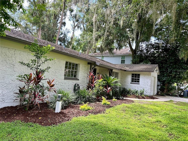 17017 Paula Ln, Lutz, FL 33558 - view of front of house with a front lawn and stucco siding