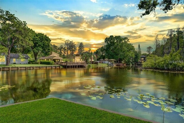 17017 Paula Ln, Lutz, FL 33558 - water view