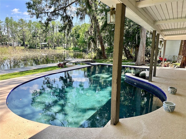 17017 Paula Ln, Lutz, FL 33558 - swimming pool with a water view, view of wooded area, and a patio