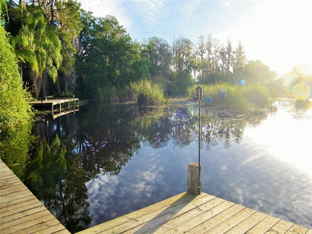 17017 Paula Ln, Lutz, FL 33558 - dock with a water view