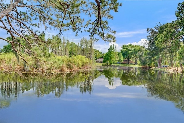 17017 Paula Ln, Lutz, FL 33558 - water view