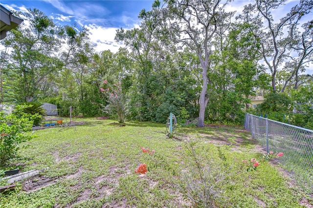 11070 Tilburg St, Spring Hill, FL 34608 - view of yard