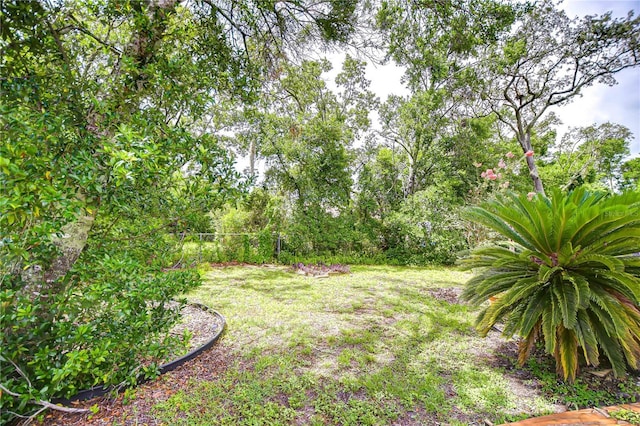 11070 Tilburg St, Spring Hill, FL 34608 - view of yard