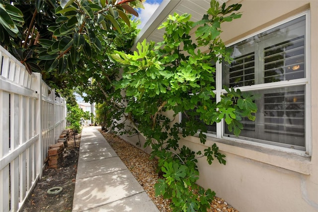 3921 E Eden Roc Cir, Tampa, FL 33634 - photo 11