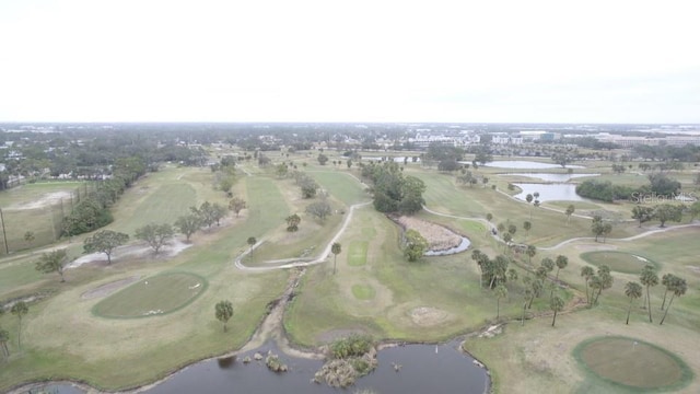 3921 E Eden Roc Cir, Tampa, FL 33634 - photo 25
