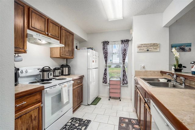 7135 Waterside Dr, Tampa, FL 33617 - photo 9