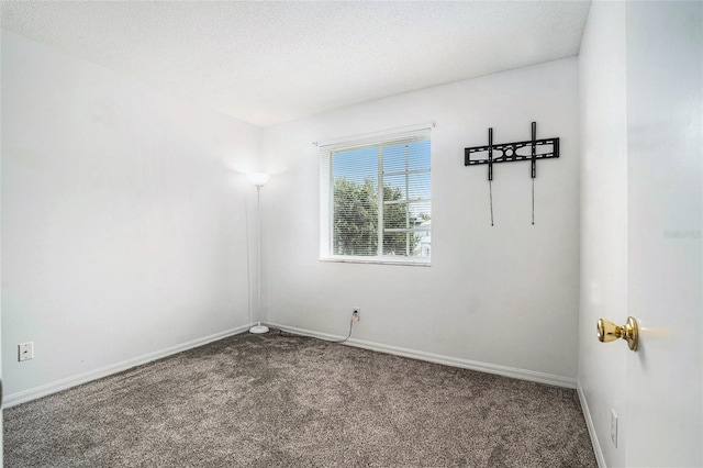 7135 Waterside Dr, Tampa, FL 33617 - photo 13