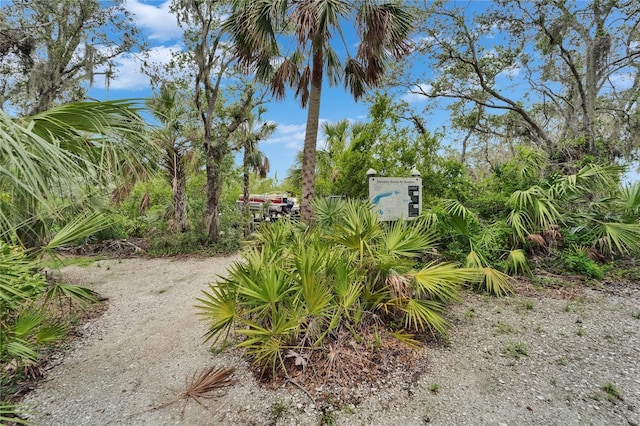 5642 Simonton St, Bradenton, FL 34203 - view of yard