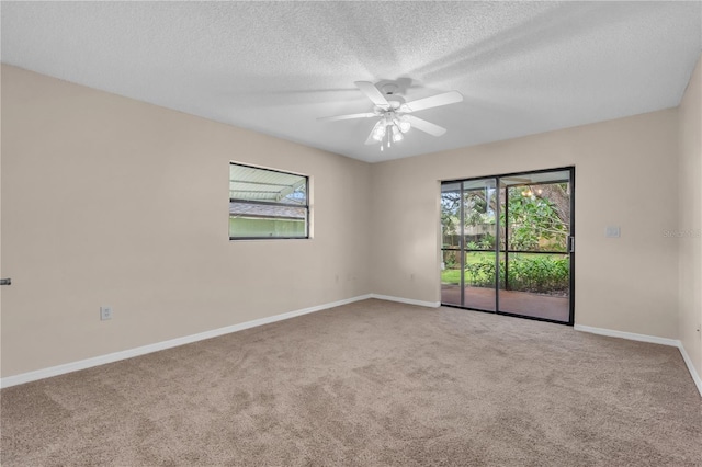 8470 Cranes Roost Dr, New Port Richey, FL 34654 - spare room with carpet flooring, ceiling fan, and a textured ceiling