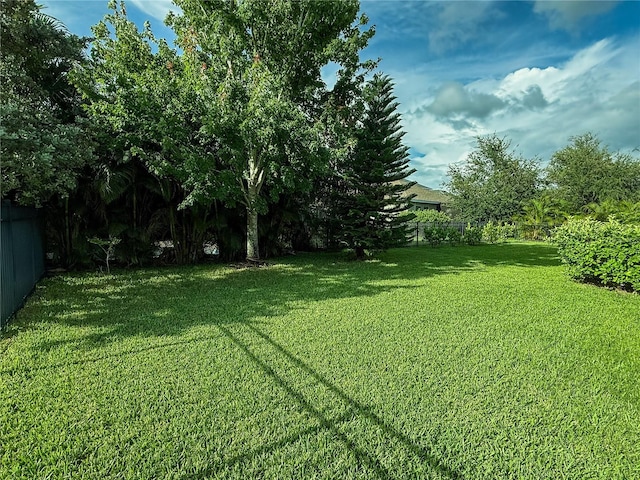 7508 Sea Lilly Ct, Apollo Beach, FL 33572 - view of yard