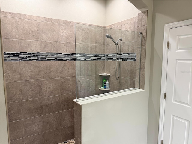 7508 Sea Lilly Ct, Apollo Beach, FL 33572 - bathroom with a walk in shower