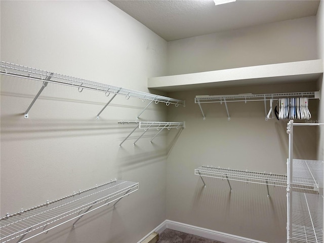 7508 Sea Lilly Ct, Apollo Beach, FL 33572 - view of walk in closet