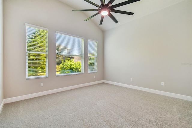 7508 Sea Lilly Ct, Apollo Beach, FL 33572 - photo 20