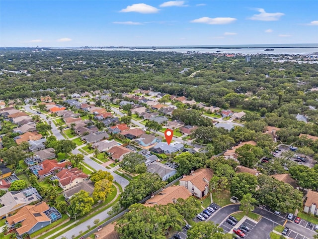 2825 Resnik Cir E, Palm Harbor, FL 34683 - photo 36