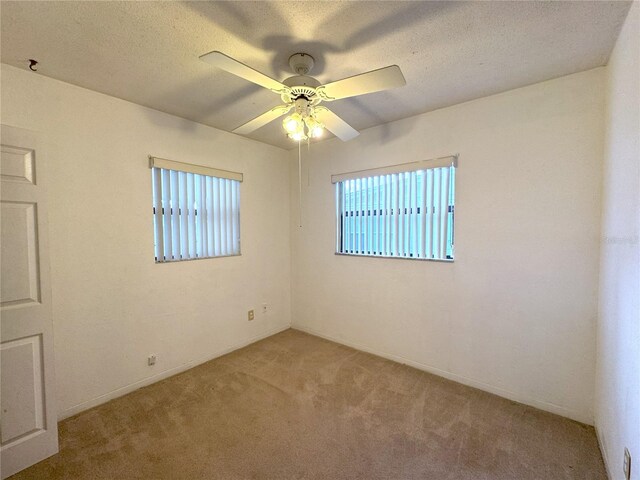 3234 37th St N, Saint Petersburg, FL 33713 - photo 10