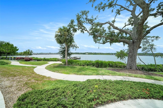 2101 Sunset Wind Loop, Oldsmar, FL 34677 - view of property's community with a water view and a yard