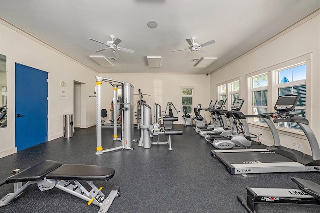 2101 Sunset Wind Loop, Oldsmar, FL 34677 - exercise room with ceiling fan