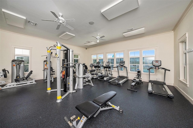 2101 Sunset Wind Loop, Oldsmar, FL 34677 - workout area featuring ceiling fan and plenty of natural light