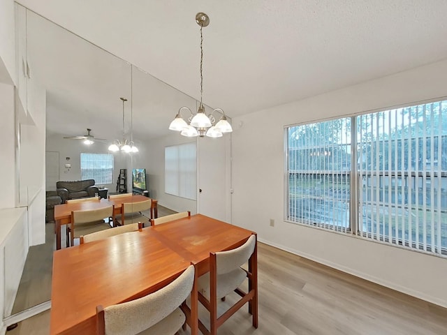 3964 Dream Oak Pl Unit 203, Tampa, FL 33613 - photo 10