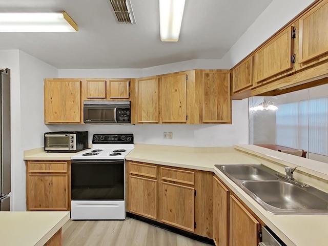 3964 Dream Oak Pl Unit 203, Tampa, FL 33613 - photo 26