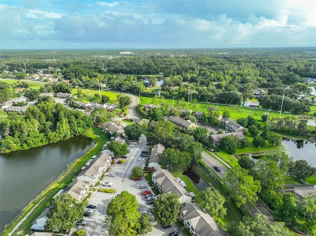 16515 Lake Brigadoon Cir, Tampa, FL 33618 - photo 39