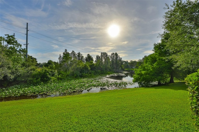 16515 Lake Brigadoon Cir, Tampa, FL 33618 - photo 29