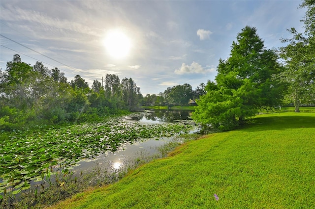 16515 Lake Brigadoon Cir, Tampa, FL 33618 - photo 30