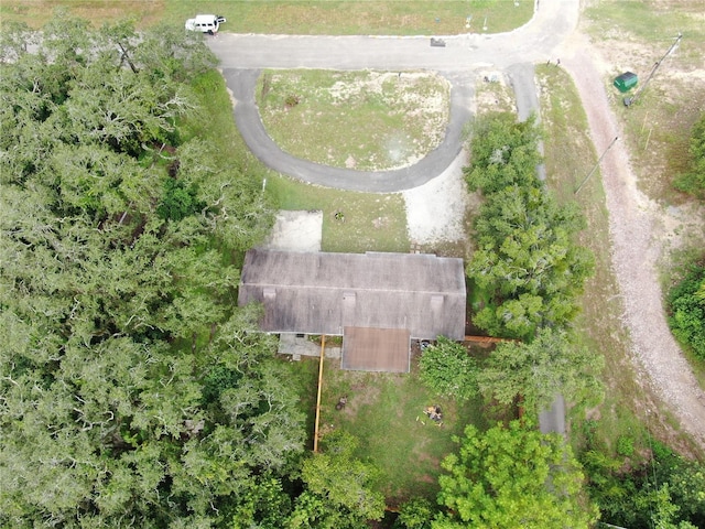 9650 Starline Dr, Dade City, FL 33525 - photo 50