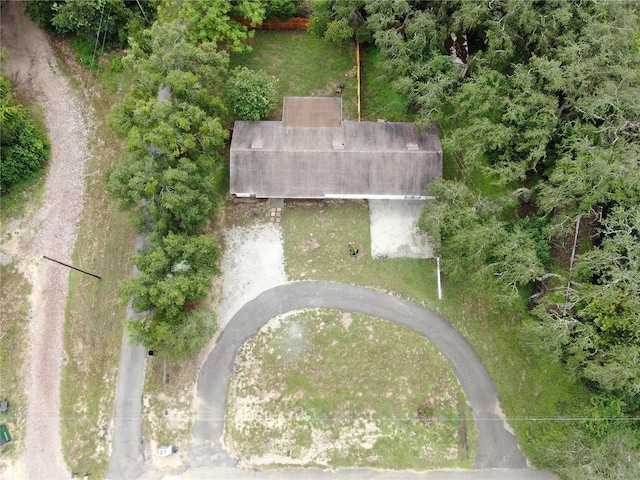9650 Starline Dr, Dade City, FL 33525 - photo 52