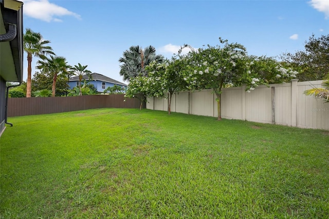 1108 Jacob Way, Odessa, FL 33556 - photo 42