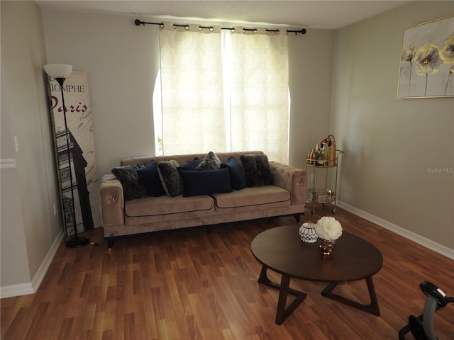5665 Paddock Trail Dr, Tampa, FL 33624 - photo 4