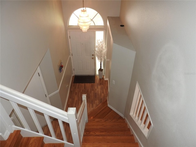 5665 Paddock Trail Dr, Tampa, FL 33624 - photo 37