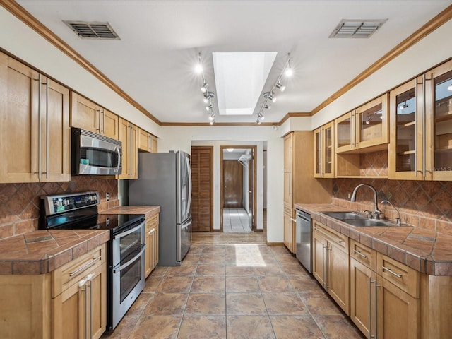 5110 Lake Valencia Blvd E, Palm Harbor, FL 34684 - kitchen featuring stainless steel appliances, a skylight, rail lighting, crown molding, and decorative backsplash