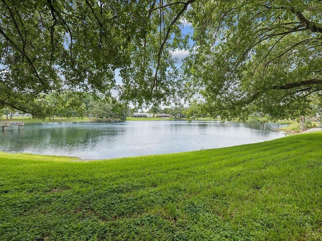 5110 Lake Valencia Blvd E, Palm Harbor, FL 34684 - water view