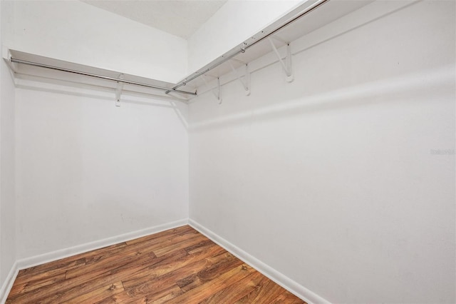 1328 Glenview Ln, Lakeland, FL 33813 - spacious closet with wood finished floors