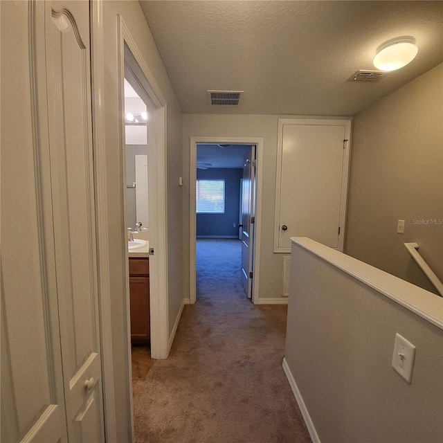 4060 Winding Vine Dr, Lakeland, FL 33812 - photo 21