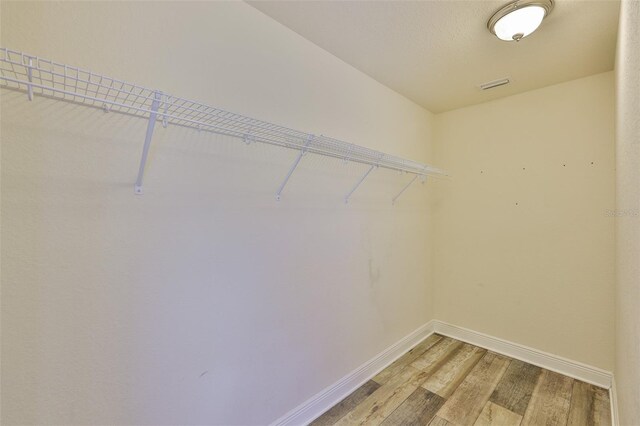 12218 Avondale Oak Pl, Riverview, FL 33578 - spacious closet featuring light wood finished floors