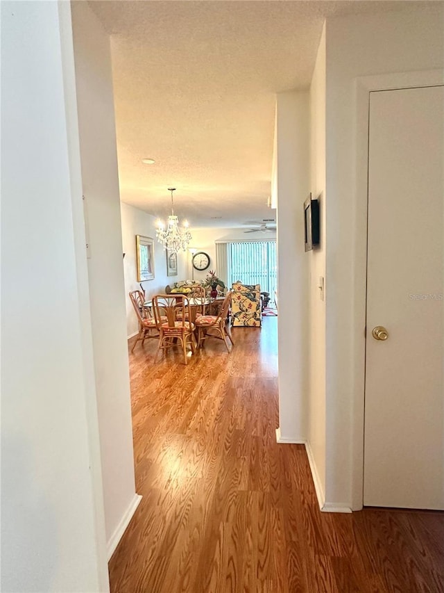 5970 80th St N Unit 308, Saint Petersburg, FL 33709 - photo 18