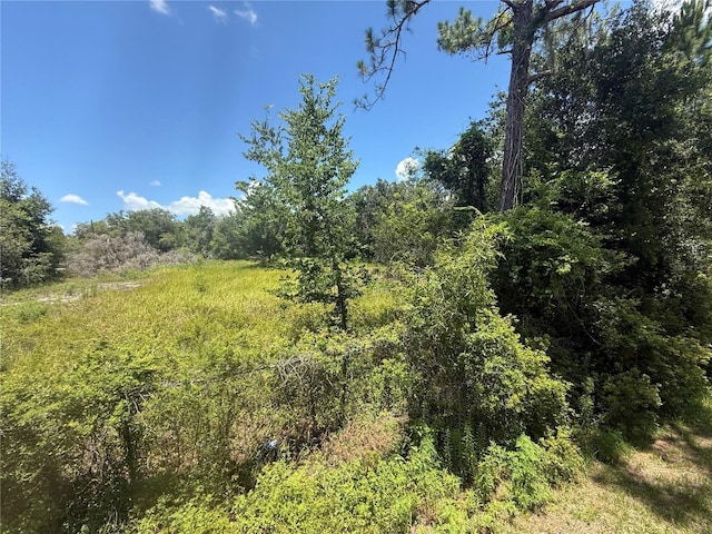 0 Goolsby St, Webster, FL 33597